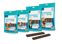 Köpekler İçin Çiğneme Ürünleri