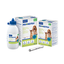 Pronefra